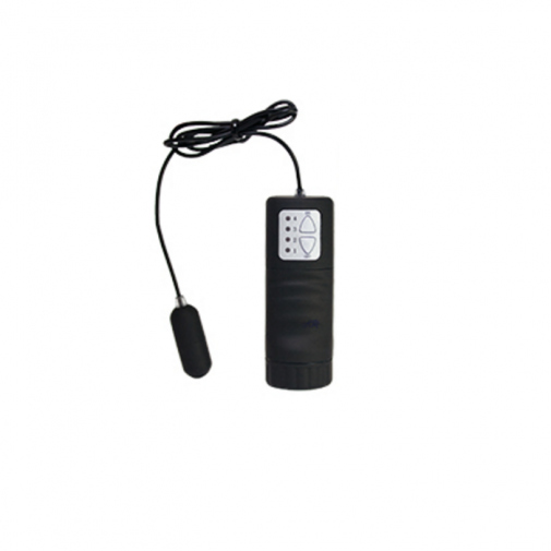 ToysHeart Inspiration 震蛋