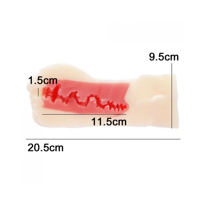 NPG 名器之証明011-高橋聖子 女優名器飛機杯