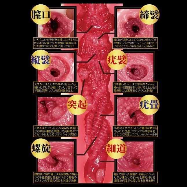 NPG 極上名器 003 天海翼 女優名器飛機杯