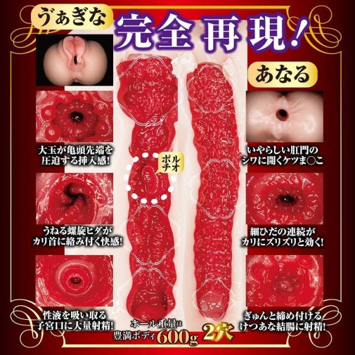 NPG - 山岸逢花 熟女之星 2穴自慰器