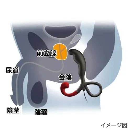 Enemable R EX Type β 有線遙控前列線震動器