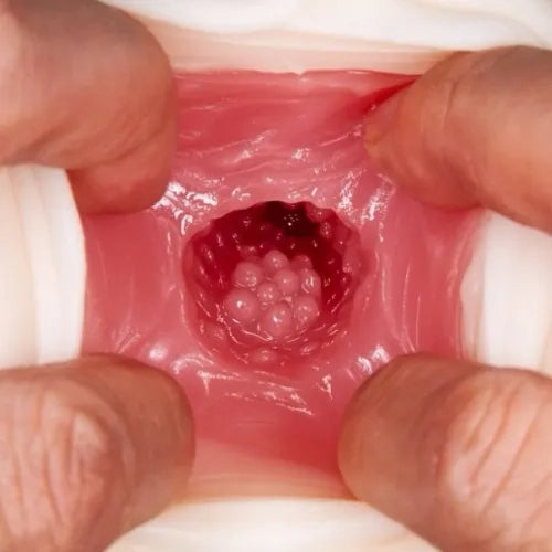 NPG 若妻名器 水野朝陽