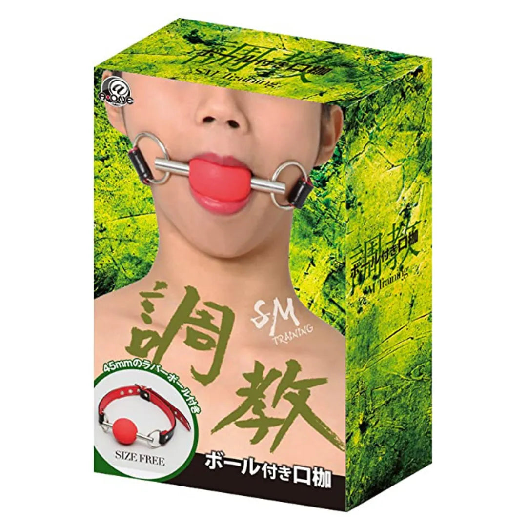 A-One SM TRAINING 口塞球